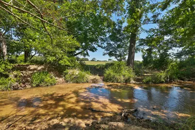 Tract #10 Cr 305 Road, Navasota, TX 77868 - Photo 7