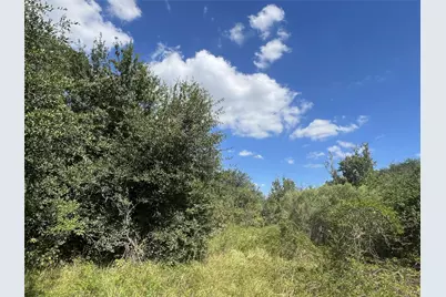 0 County Road 814 Road, Brazoria, TX 77422 - Photo 5