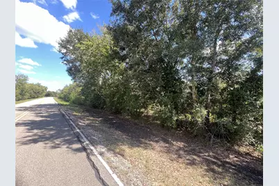 0 County Road 814 Road, Brazoria, TX 77422 - Photo 3
