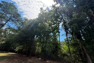 9806 State Hwy 156, Coldspring, TX 77331 - Photo 37