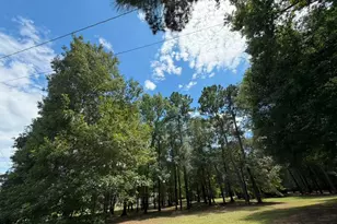 9806 State Hwy 156, Coldspring, TX 77331 - Photo 39