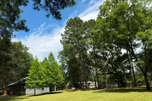 9806 State Hwy 156, Coldspring, TX 77331 - Photo 33