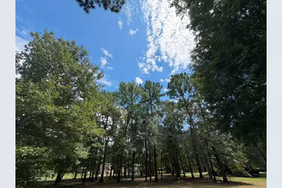 9806 State Highway 156, Coldspring, TX 77331 - Photo 3