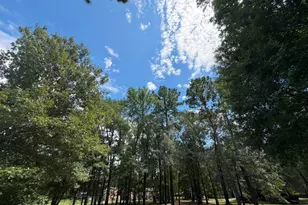 9806 State Hwy 156, Coldspring, TX 77331 - Photo 3