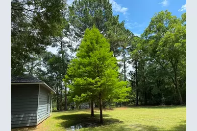 9806 State Highway 156, Coldspring, TX 77331 - Photo 35