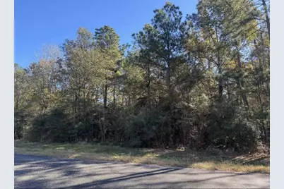 172 Grand View, Huntsville, TX 77340 - Photo 3