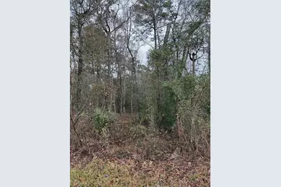 Tbd River E, Splendora, TX 77372 - Photo 5