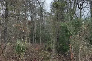 Tbd River E, Splendora, TX 77372 - Photo 5