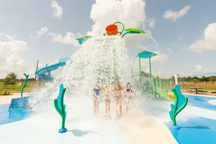 10731 Dogwood Sky Dr, Beasley, TX 77417 - Photo 35