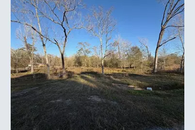 10950 Highway 321, Dayton, TX 77535 - Photo 1