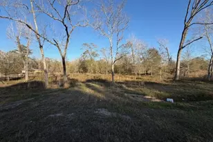 10950 Hwy 321, Dayton, TX 77535 - Photo 1