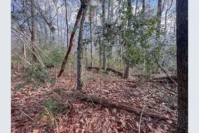 19423 Highway 190 E, Livingston, TX 77351 - Photo 11