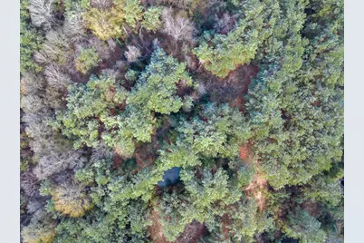 19423 Highway 190 E, Livingston, TX 77351 - Photo 5