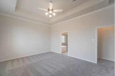 30014 Twisting Springs Drive, Fulshear, TX 77423 - Photo 21