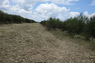 36847 Richard Frey Dr, Hempstead, TX 77445 - Photo 5