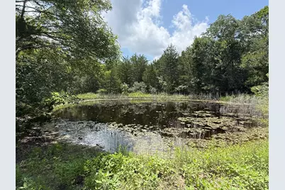 1359 County Road 208, Weimar, TX 78962 - Photo 5