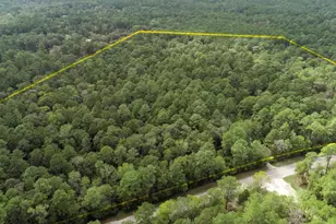 22550 Fm 149 Rd, Montgomery, TX 77356 - Photo 9