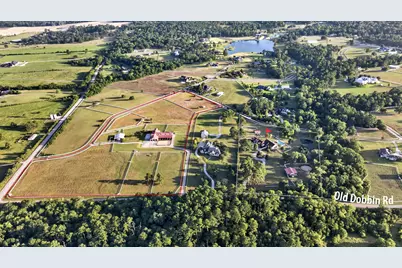 24005 Old Dobbin Plantersville Road, Montgomery, TX 77316 - Photo 49