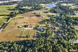 24005 Old Dobbin Plantersville Rd, Montgomery, TX 77316 - Photo 49