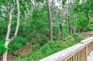 100 Magnolia Pl, Coldspring, TX 77331 - Photo 47