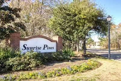 9519 Garrett Pine Lane, Houston, TX 77044 - Photo 29