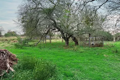 38440 Fisk Lane, Pattison, TX 77423 - Photo 13