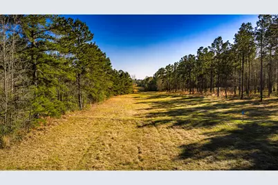 Tbd Rolling Pines Drive, Livingston, TX 77351 - Photo 7