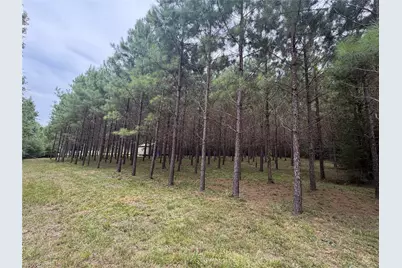 00 Cody Road, Livingston, TX 77351 - Photo 1