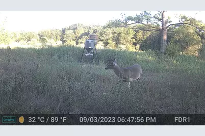 000 County Road 509 Off County Rd, Damon, TX 77430 - Photo 17