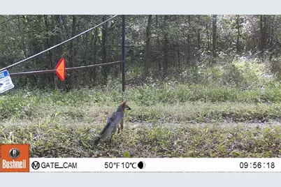 000 County Road 509 Off County Rd, Damon, TX 77430 - Photo 15