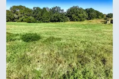 000 County Road 509 Off County Rd, Damon, TX 77430 - Photo 7