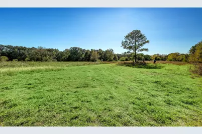 000 County Road 509 Off County Rd, Damon, TX 77430 - Photo 5