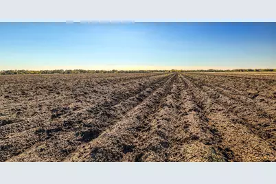 000 County Road 509 Off County Rd, Damon, TX 77430 - Photo 9