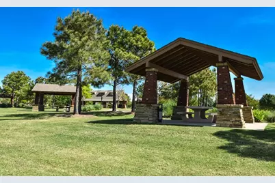 23231 Century Plant Drive, Katy, TX 77494 - Photo 7