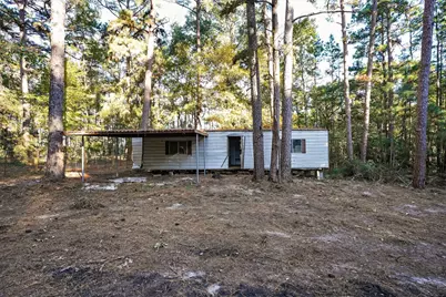 1 Ellis Court, Coldspring, TX 77331 - Photo 29