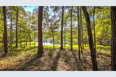 Tbd 13 & 14 Summer Place, Livingston, TX 77351 - Photo 13