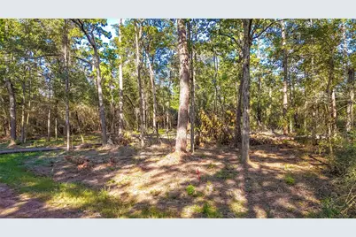 Tbd 13 & 14 Summer Place, Livingston, TX 77351 - Photo 5