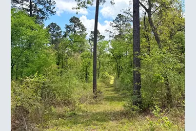 1878 Cr 131, Centerville, TX 75833 - Photo 23