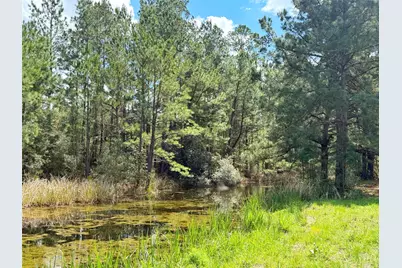 1878 Cr 131, Centerville, TX 75833 - Photo 3