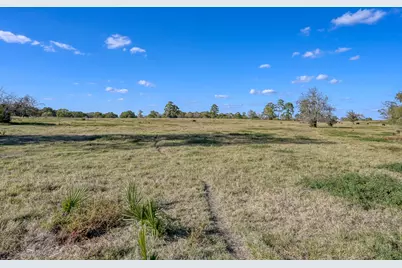 75 Acres Spring Branch Road, Montgomery, TX 77316 - Photo 9