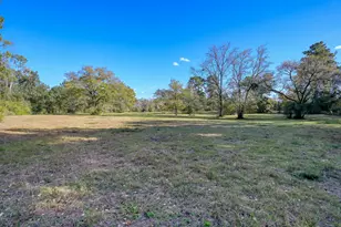 75 Acres Spring Branch Rd, Montgomery, TX 77316 - Photo 15