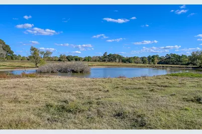 75 Acres Spring Branch Road, Montgomery, TX 77316 - Photo 1