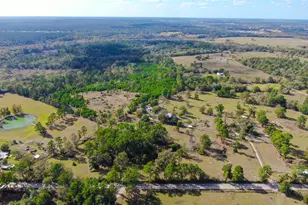 75 Acres Spring Branch Rd, Montgomery, TX 77316 - Photo 7