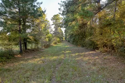 75 Acres Spring Branch Road, Montgomery, TX 77316 - Photo 13