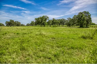 14125 County Road 164, Iola, TX 77861 - Photo 23