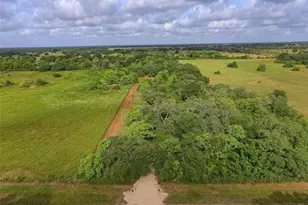 3586 Co Rd 106, Garwood, TX 77442 - Photo 1