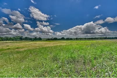 1552 Holub Road, Schulenburg, TX 78956 - Photo 43