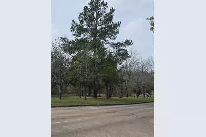 1134 Wynnwood Lane, Houston, TX 77008 - Photo 5