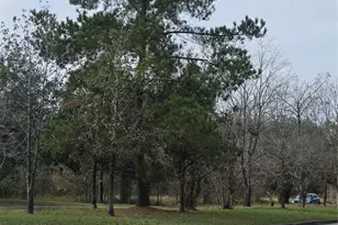 1134 Wynnwood Ln, Houston, TX 77008 - Photo 5