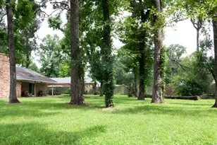 24414 Pine Canyon, Spring, TX 77380 - Photo 41